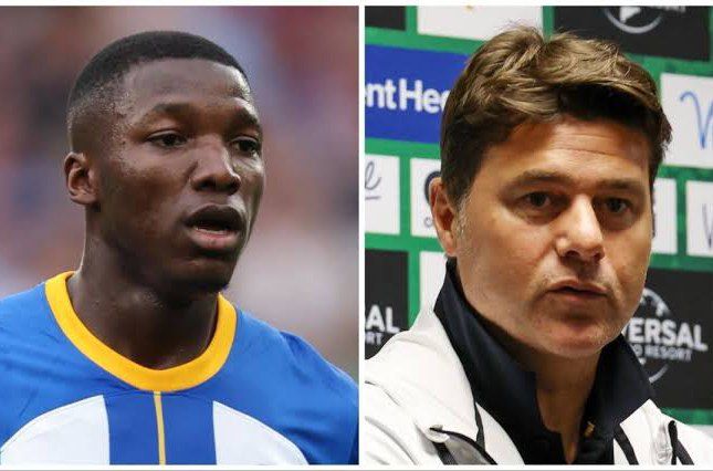 Forget Moises Caicedo and get me this World Cup winner – Pochettino tells Chelsea board